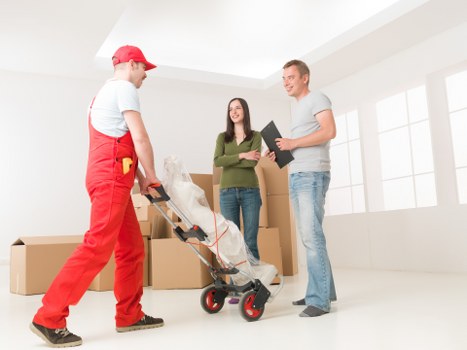 Removalists handling boxes and household items in Kingston