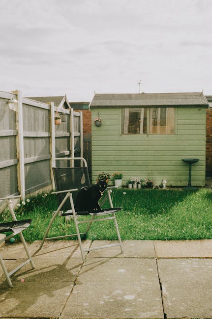 A small backyard scene during daylight hours showing a green wooden garden shed with a sloped roof and a window, positioned against a brick wall. In front of the shed, there are various potted plants and flowers placed along its base. To the left, a metal-framed garden chair with a black seat and backrest is situated on a paved patio area, and a black cat is sitting on the chair. Nearby, a green garden hose is coiled on the ground, and a small birdbath with a dark basin sits to the right of the shed. The surrounding area includes a wooden garden fence with a gate on the left side, and the lawn is well-maintained with green grass. The overall scene depicts a typical home garden during a house removal or moving process, relevant to services offered by Kingston Man and Van, with a focus on packing, furniture transport, and relocation logistics for small gardens.