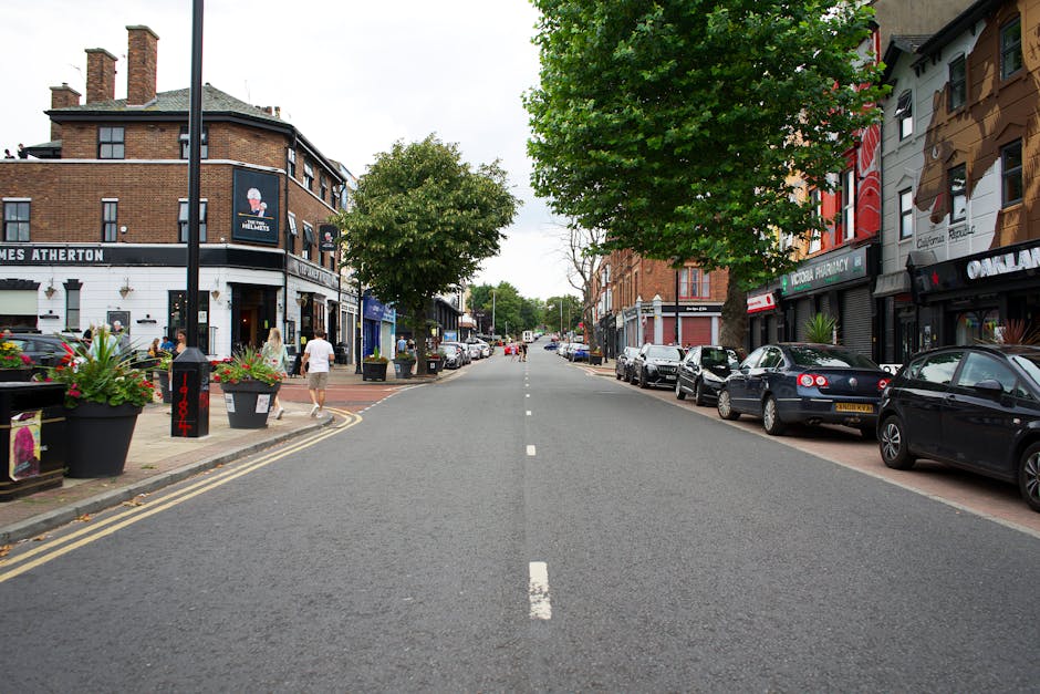 A wide city street scene in Kingston with a row of parked cars, including sedans and hatchbacks, lining both sides of the road. On the left, there are commercial buildings housing shops and cafes, with a few pedestrians walking along the pavement, some carrying bags or engaging in conversation. Large potted plants with blooming flowers are positioned near the storefronts, and a lamppost stands close to the curb. In the background, trees with lush green foliage border the street, providing shade and contributing to the urban streetscape. The scene is well-lit with natural daylight, and the overall atmosphere suggests a vibrant, busy town centre. This setting within Kingston showcases typical elements of a commercial area suitable for local house removals and furniture transport services, as provided by Kingston Man and Van.
